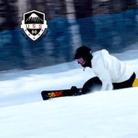 优雅梦想家2R头像