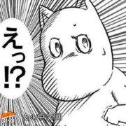 柊ain的个人资料头像