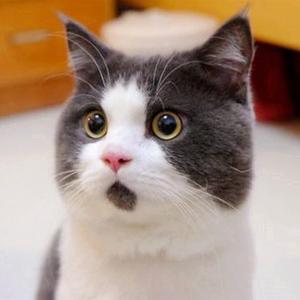 译 理解zip 和gzip 压缩格式背后的压缩算法 掘金