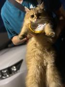 anson的个人资料头像