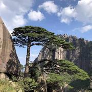 爱旅行的海洋的个人资料头像