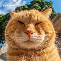 用户7246903991000头像