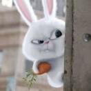 爱学习42878的个人资料头像