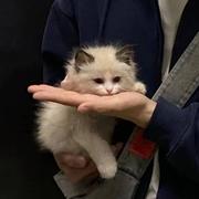 在渔市上的个人资料头像