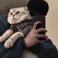 长安一汽马自达头像