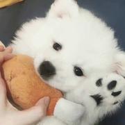 AlinaWang的个人资料头像