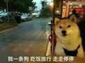 卡布奇诺Wjn头像