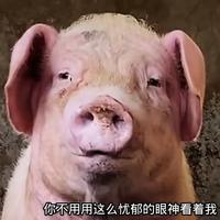 游乐场定州8t3头像