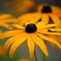 进步汤姆5O2t7头像