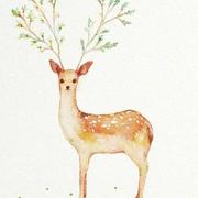 colorfulWorld的个人资料头像