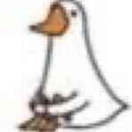 codezen的个人资料头像