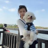 海是座未枯城头像