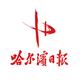 哈尔滨日报社
                        头像