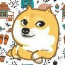 SKAL的个人资料头像