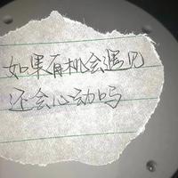 蓬莱山琇云头像