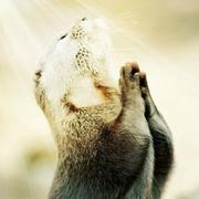 Xuyuji的个人资料头像