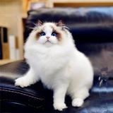 huang3612345头像