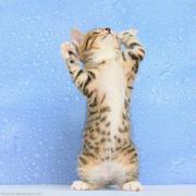 孙大剩685的个人资料头像