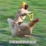 yoxious的个人资料头像
