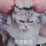 阿菊头像