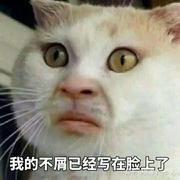 舍予123的个人资料头像
