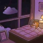用户8048384900795头像