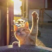 用户864638876270的个人资料头像