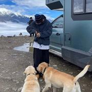 迷途乐园的个人资料头像