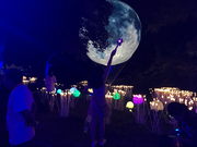 Brynn的个人资料头像