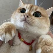 W_T_W的个人资料头像