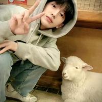 去有风的旷野头像