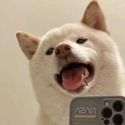 CYQ710的个人资料头像