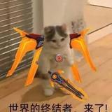 诺克萨斯之猪头像