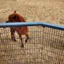 常重名了59467的个人资料头像