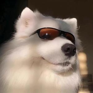 冰吟文文头像