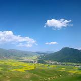 春华秋实8474439500151头像