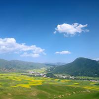 春华秋实8474439500151头像