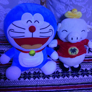 恋月花香帅的个人资料头像