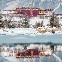 勇敢的海洋C8头像