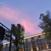 土豆丝炒姜丝的个人资料头像