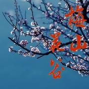 梅山花谷的个人资料头像