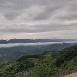 稲巣人头像