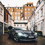 指鹿为马986头像