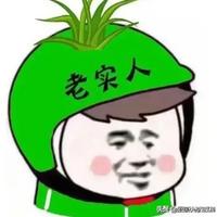 菠萝哪儿躲头像