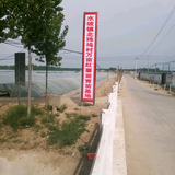 飘洋过海红薯苗育苗基地头像