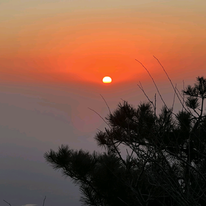 泉盛花卉批发基地头像