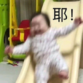 鱼木木头像