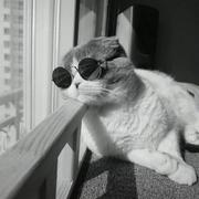 顺风而行的个人资料头像