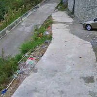 严三弟头像