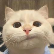 再听一遍反方向钟的个人资料头像